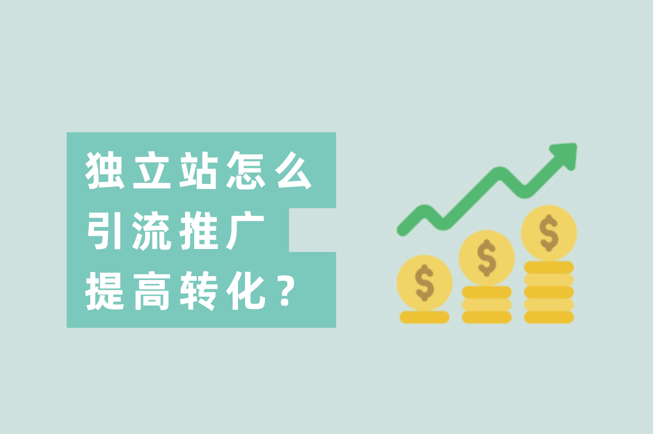 自力站卖家怎么推广引流？自力站怎样举行站内优化提升转化率？